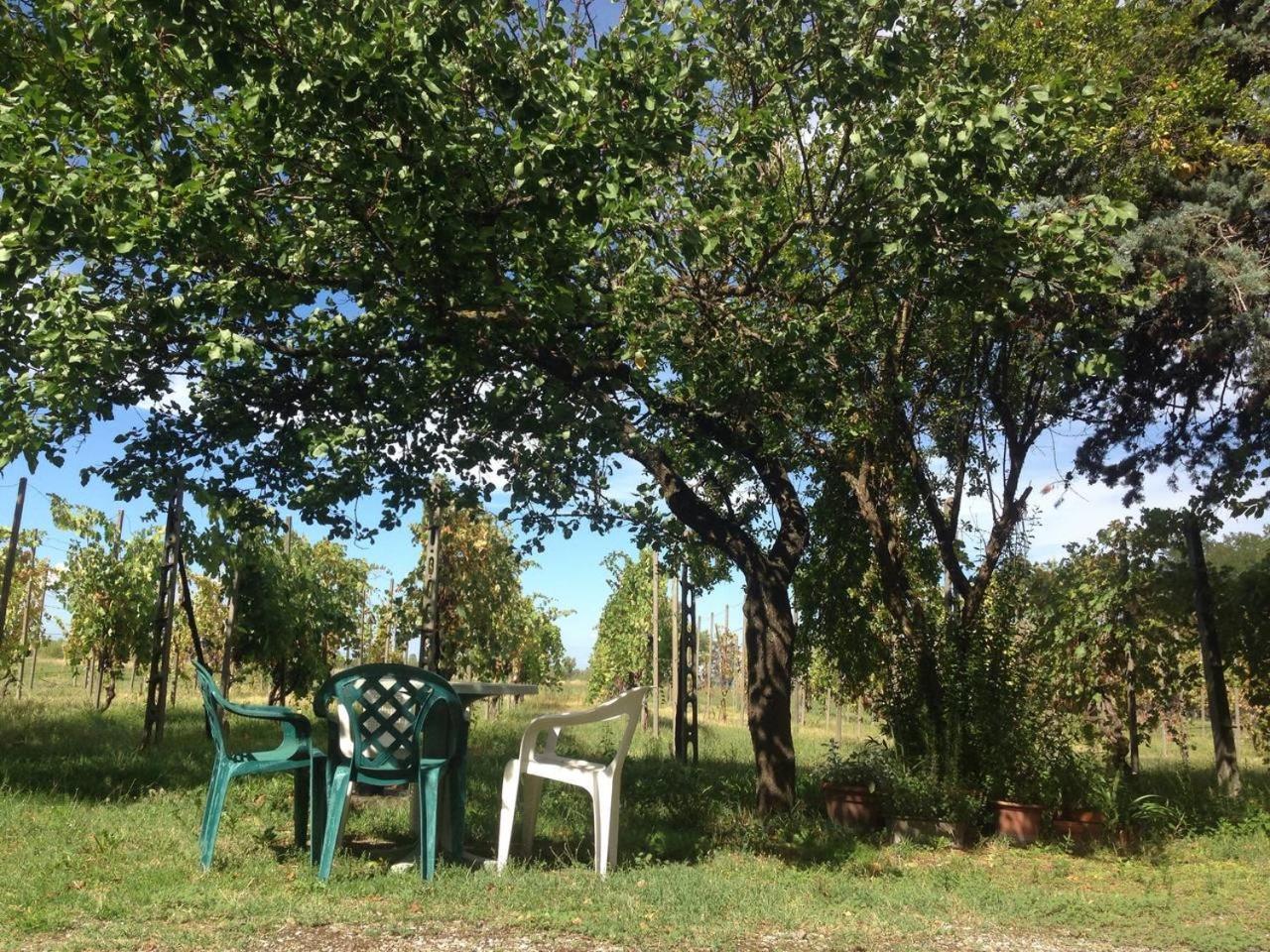 Il Canale Dei Mulini San Damiano Exterior foto